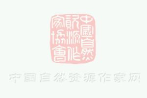 蜜雪大冰城加盟費(fèi)用多少，蜜雪冰城加盟費(fèi)大概要多少