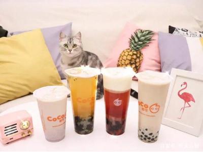 coco奶茶里面有什么配料，coco奶茶加什么配料才好喝