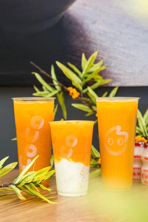 coco奶茶加盟詳情，coco奶茶加盟詳情