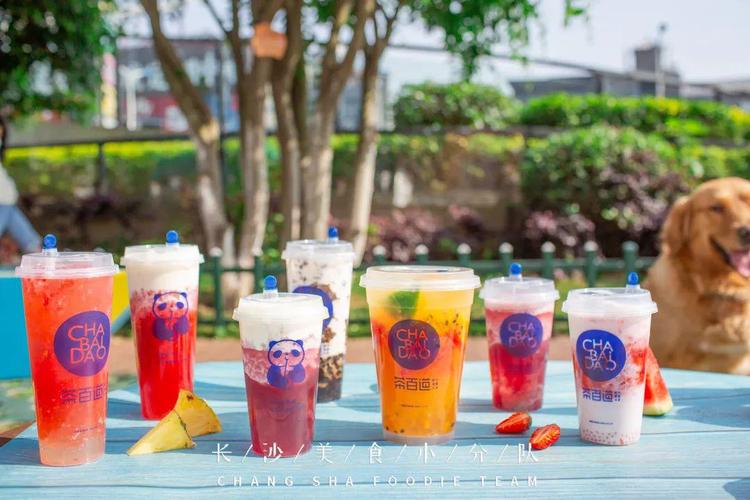 茶百道奶茶店加盟費(fèi)多少錢，茶百道奶茶加盟費(fèi)用多少錢