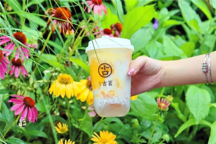 古茗加盟奶茶店大概要多少錢[古茗加盟奶茶店大概要多少錢的相關(guān)解讀]