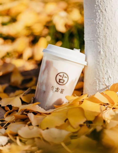 古茗奶茶店加盟需要多少錢云南省，古茗奶茶店加盟需要多少錢