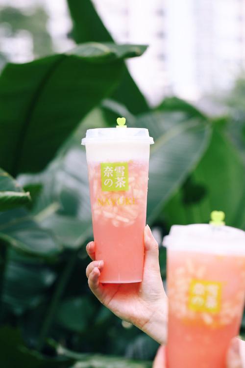 奈雪的茶加盟費大概多少錢，蜜雪加盟一般多少錢