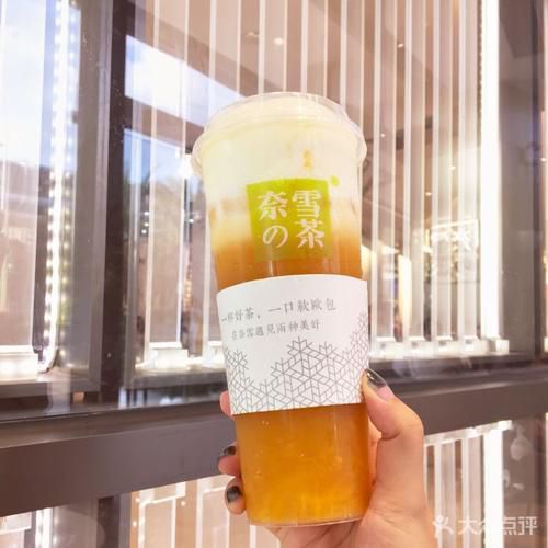 遼陽奈雪加盟需要多少錢