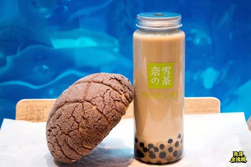 婁底奈雪加盟費用多少錢，婁底奈雪加盟流程是什么