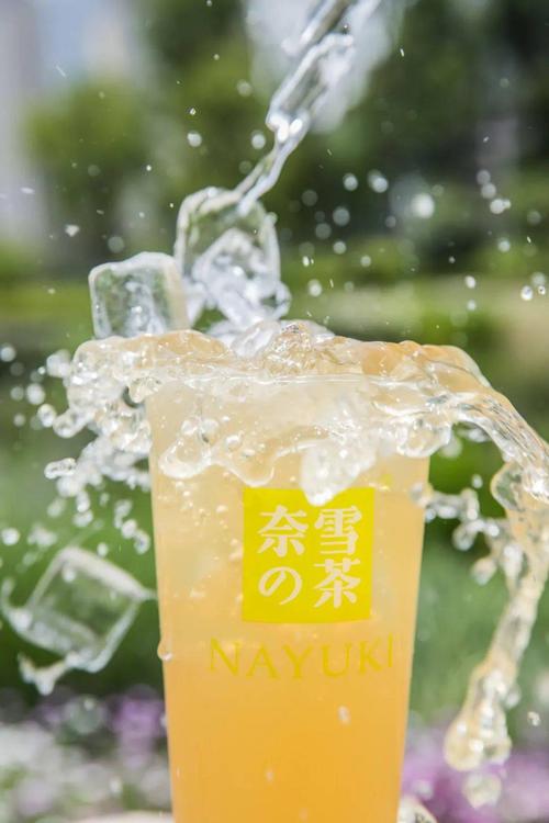 廣安奈雪加盟費(fèi)及加盟條件