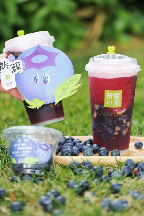 黑河奈雪加盟費(fèi)明細(xì)表，黑河奈雪加盟需要什么條件