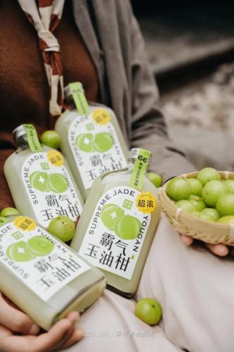 汕頭奈雪加盟費及加盟條件2023，汕頭奈雪加盟費大約是多少錢