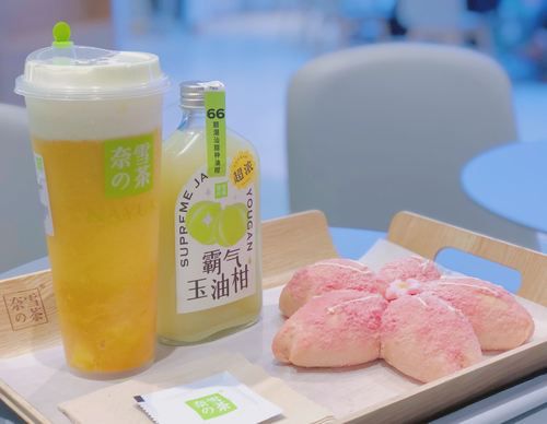 文山奈雪加盟費用多少錢，文山奈雪加盟流程是什么