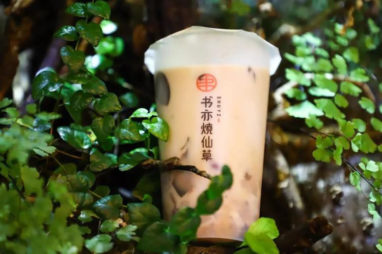 古茗加盟費(fèi)用及條件，古茗奶茶加盟流程