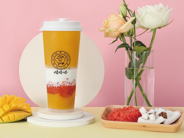 娃哈哈奶茶店加盟費大概多少，娃哈哈奶茶連鎖店怎么加盟