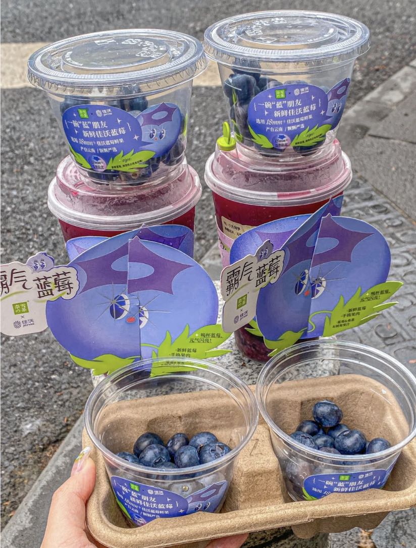 奈雪的茶加盟費大概多少錢，奈雪的茶怎么加盟