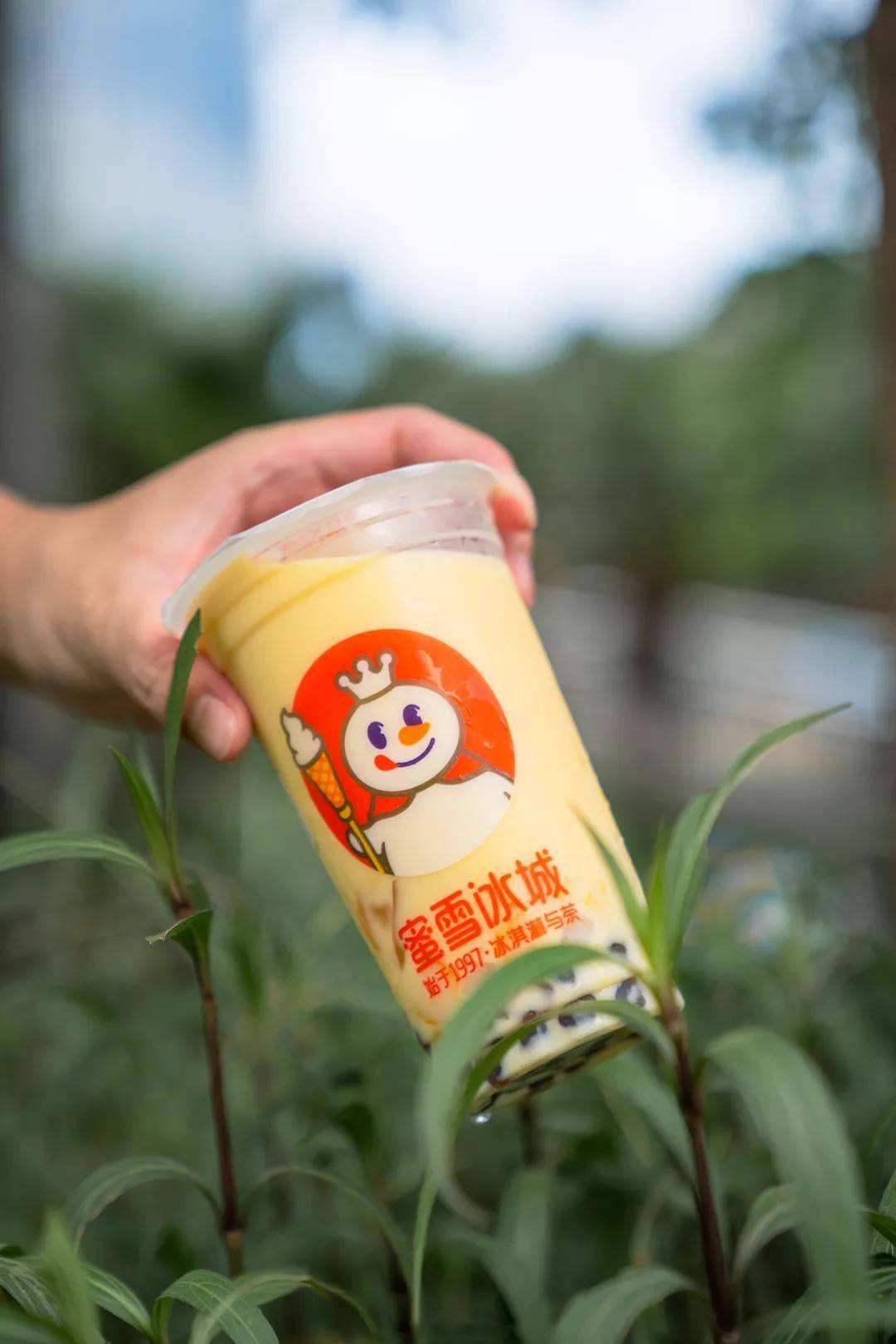 蜜雪冰城加盟的條件及費用詳情2023，蜜雪冰城加盟的費用是多少錢？