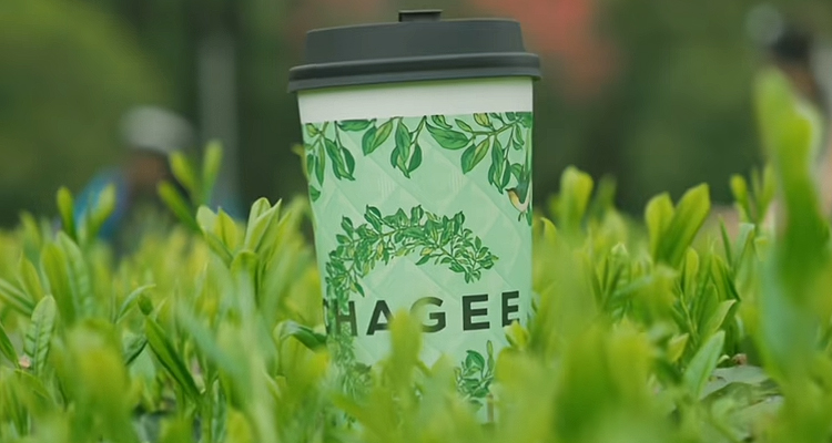 霸王茶姬加盟費用一覽表，霸王茶姬加盟條件及流程
