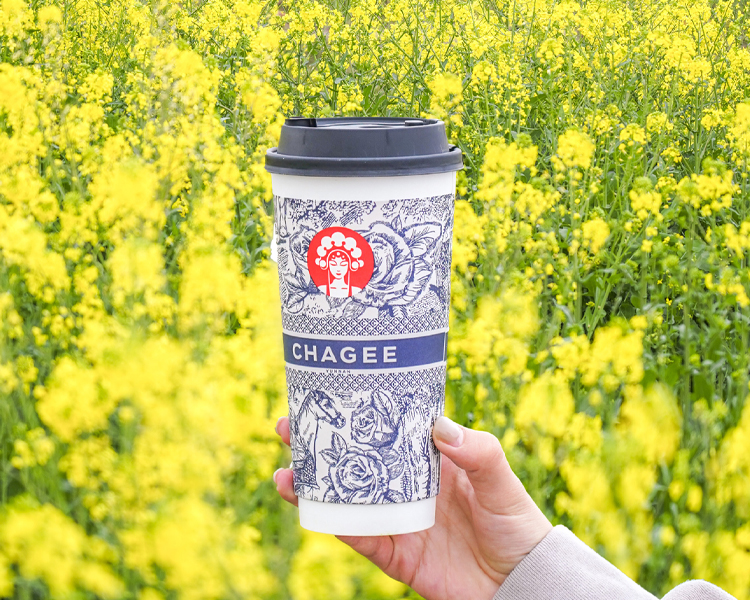 霸王茶姬加盟條件與費(fèi)用，霸王茶姬怎么加盟多少錢