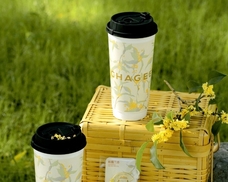 加盟霸王茶姬總共要花費多少錢呢，霸王茶姬加盟需要什么條件和費用