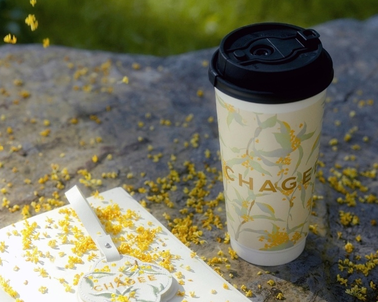 加盟霸王茶姬總共要花費多少錢呢，霸王茶姬加盟需要什么條件和費用