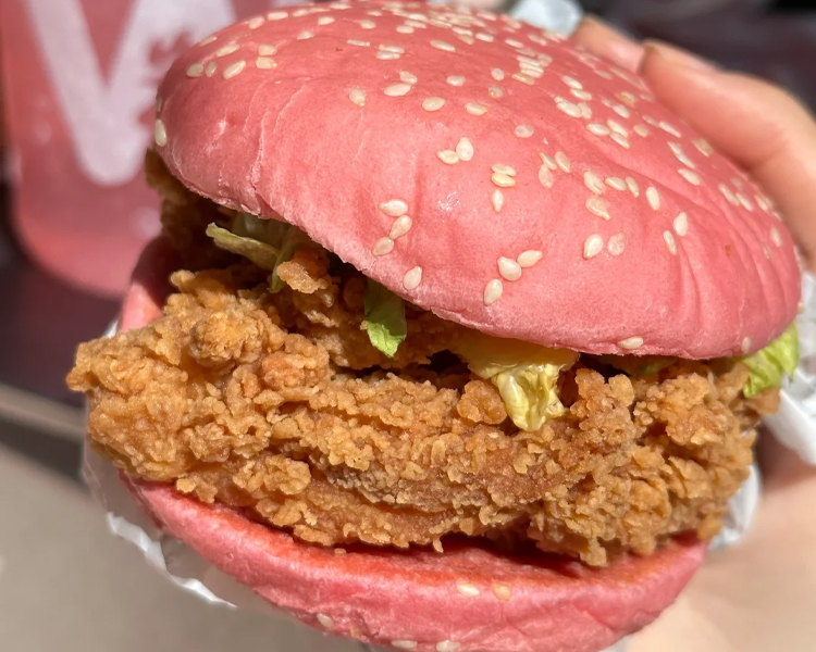 華萊士加盟費(fèi)用一共是多少2025，開(kāi)一家華萊士加盟條件有哪些