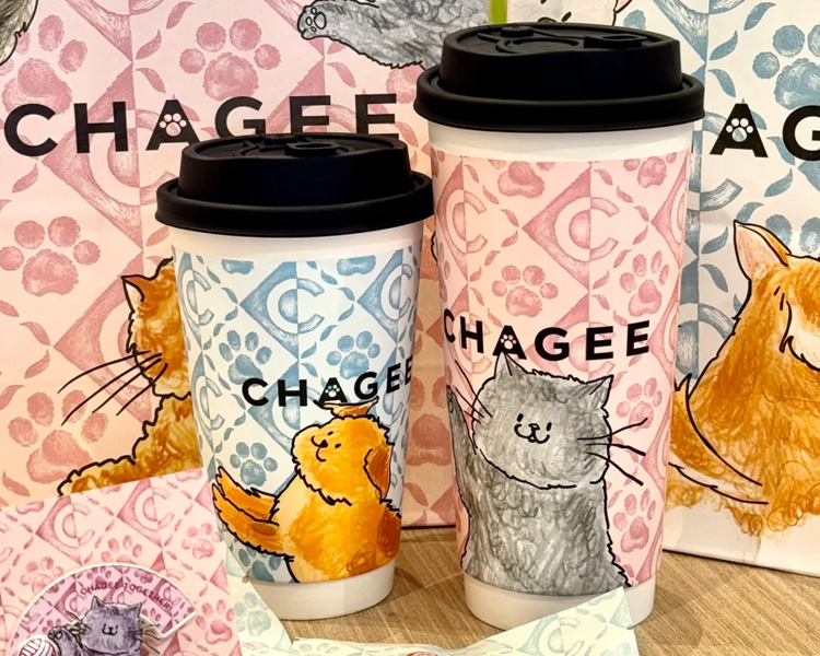 開一家霸王茶姬需要多少加盟費，霸王茶姬奶茶店加盟流程