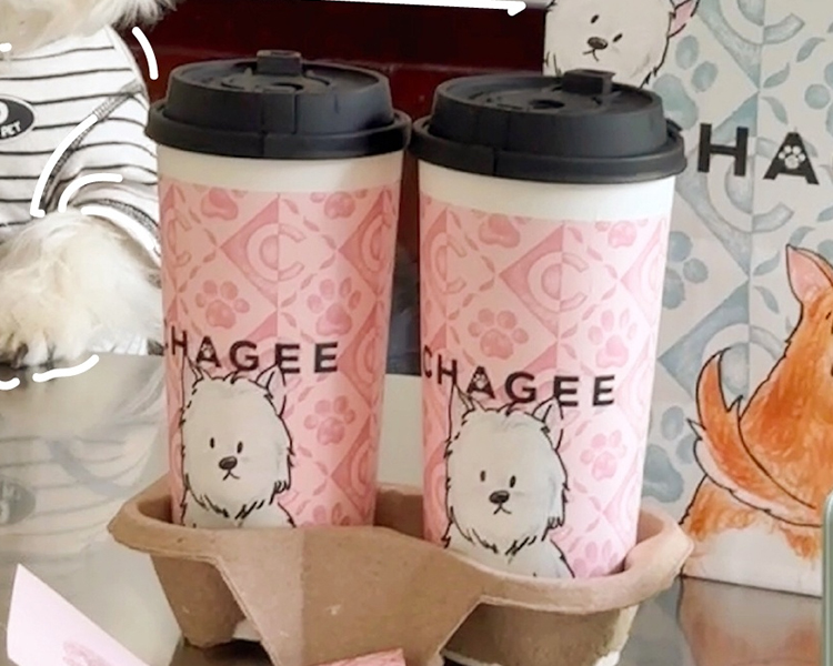 霸王茶姬加盟費及加盟流程，霸王茶姬加盟費一覽表